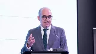 Alejandro Blasco, reelegido como presidente del COIICV