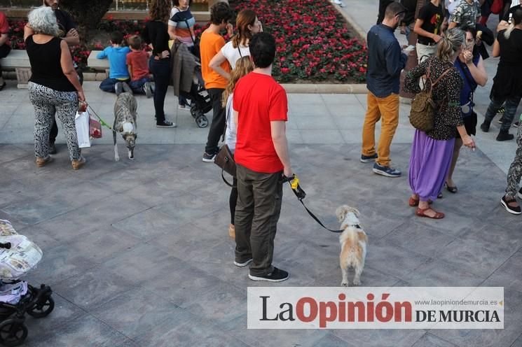 Manifestación contra la LOMCE en Murcia