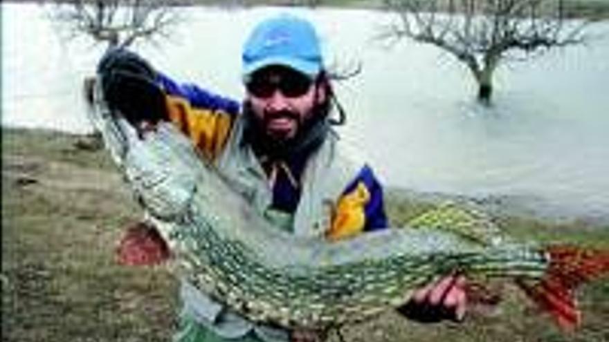 Pesca un lucio de 15 kilos