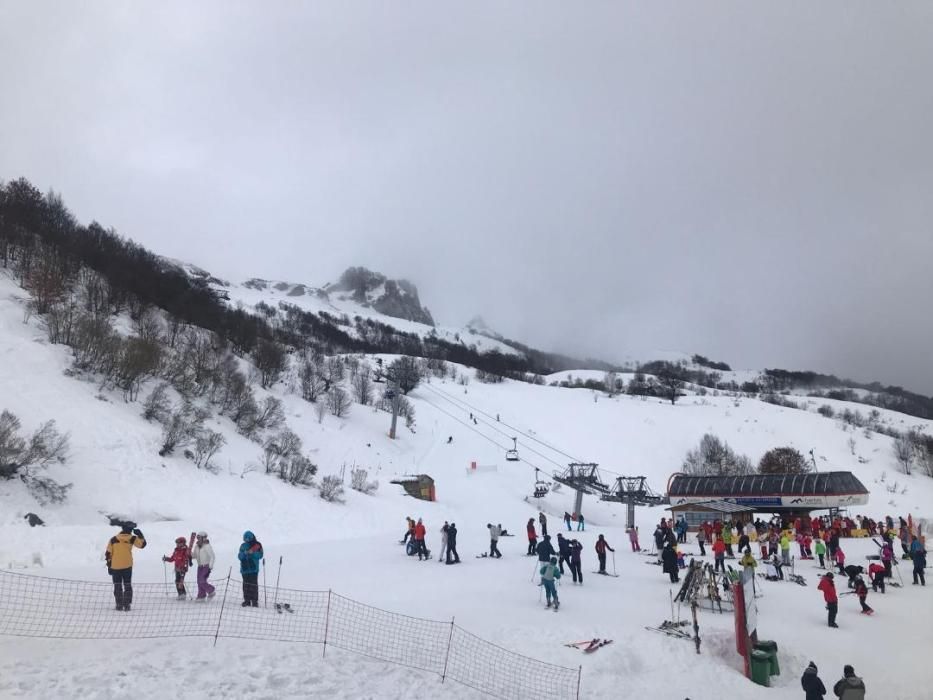 Las 40 fotos que te harán echar de menos el invierno (y la nieve) en Asturias