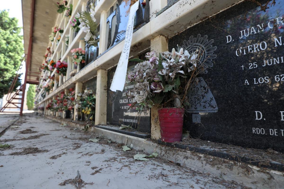 Fotogalería | Grandes daños en el cementerio de Torrero por la tormenta del jueves