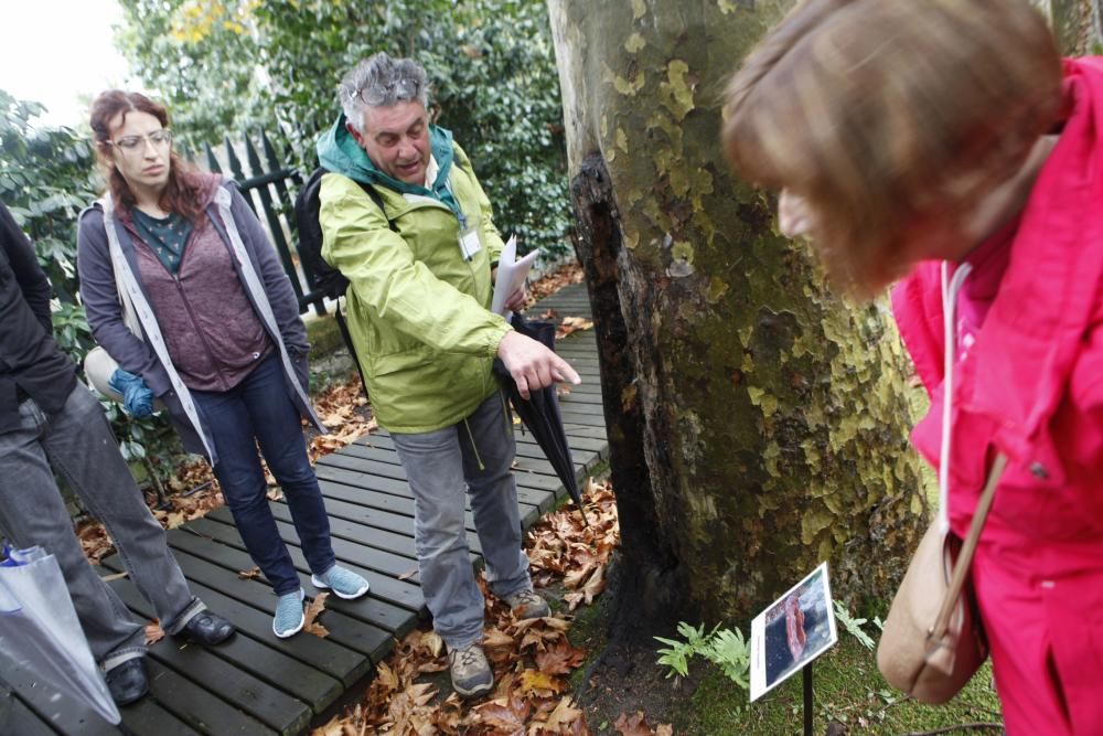 Recorrido micológico por el Jardín Botánico Atlántico