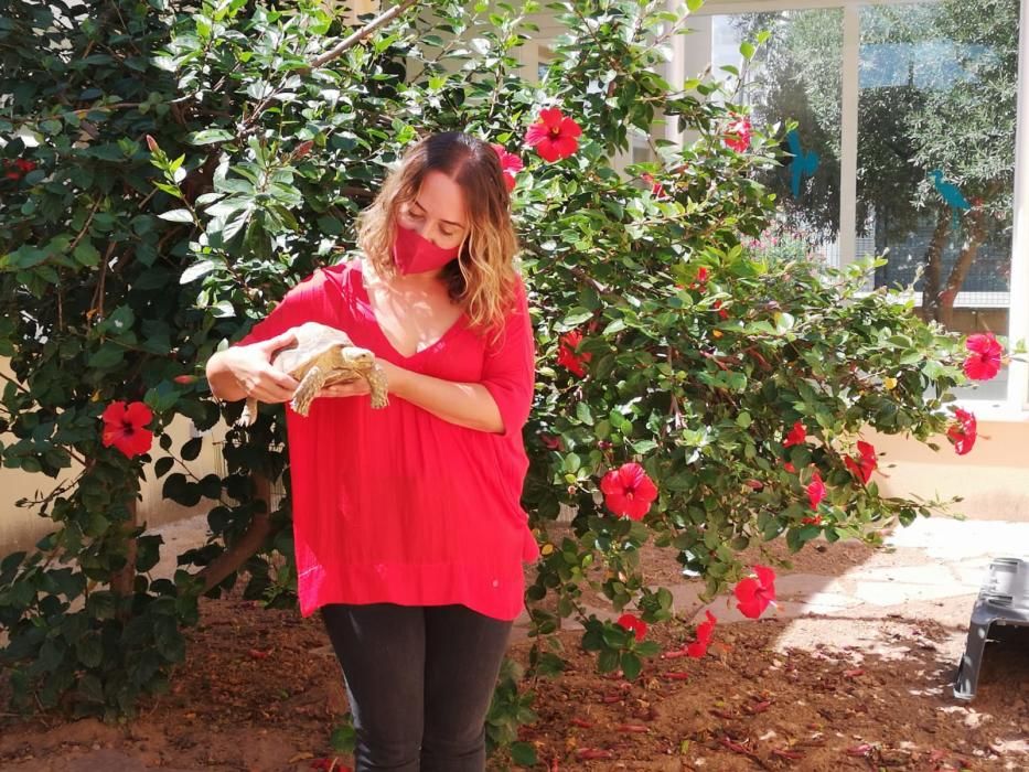 Así es el Centro Municipal de Avifauna de València