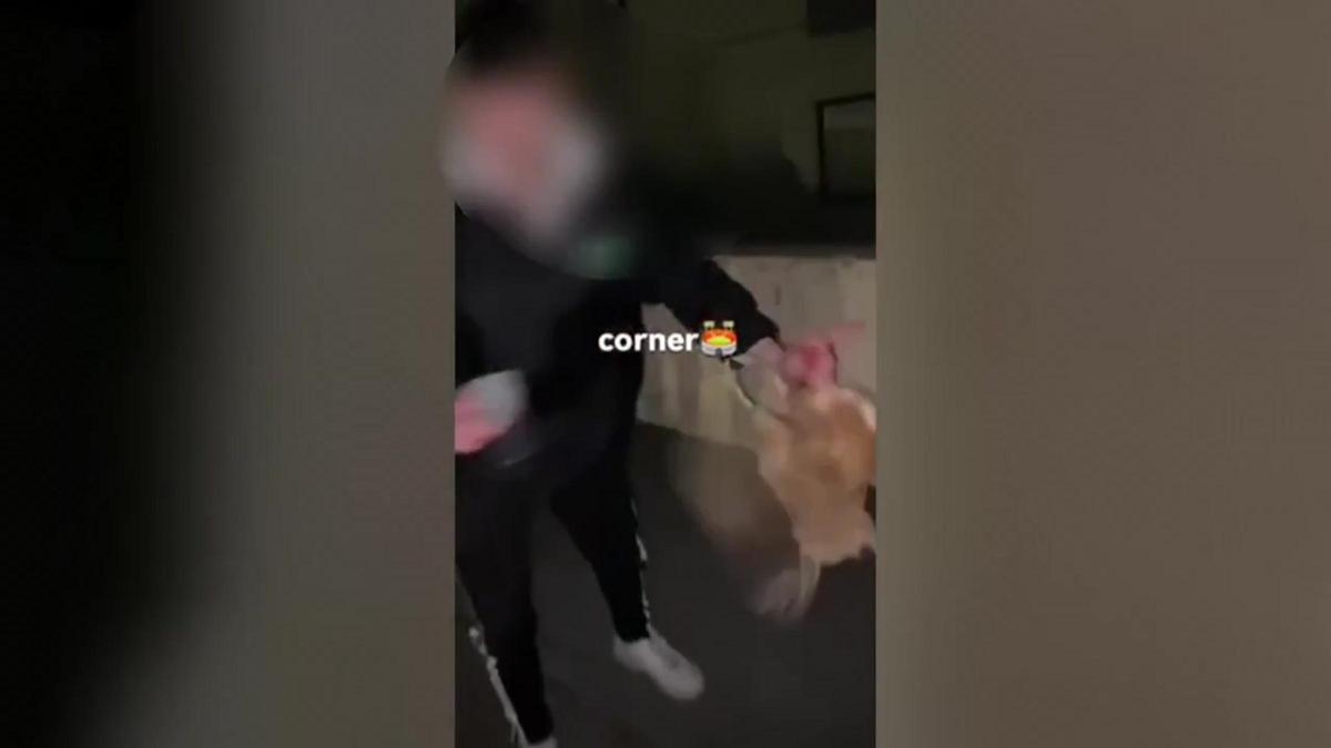 Denunciados 39 jóvenes por utilizar una gallina como un balón de fútbol en Villamediana (La Rioja)