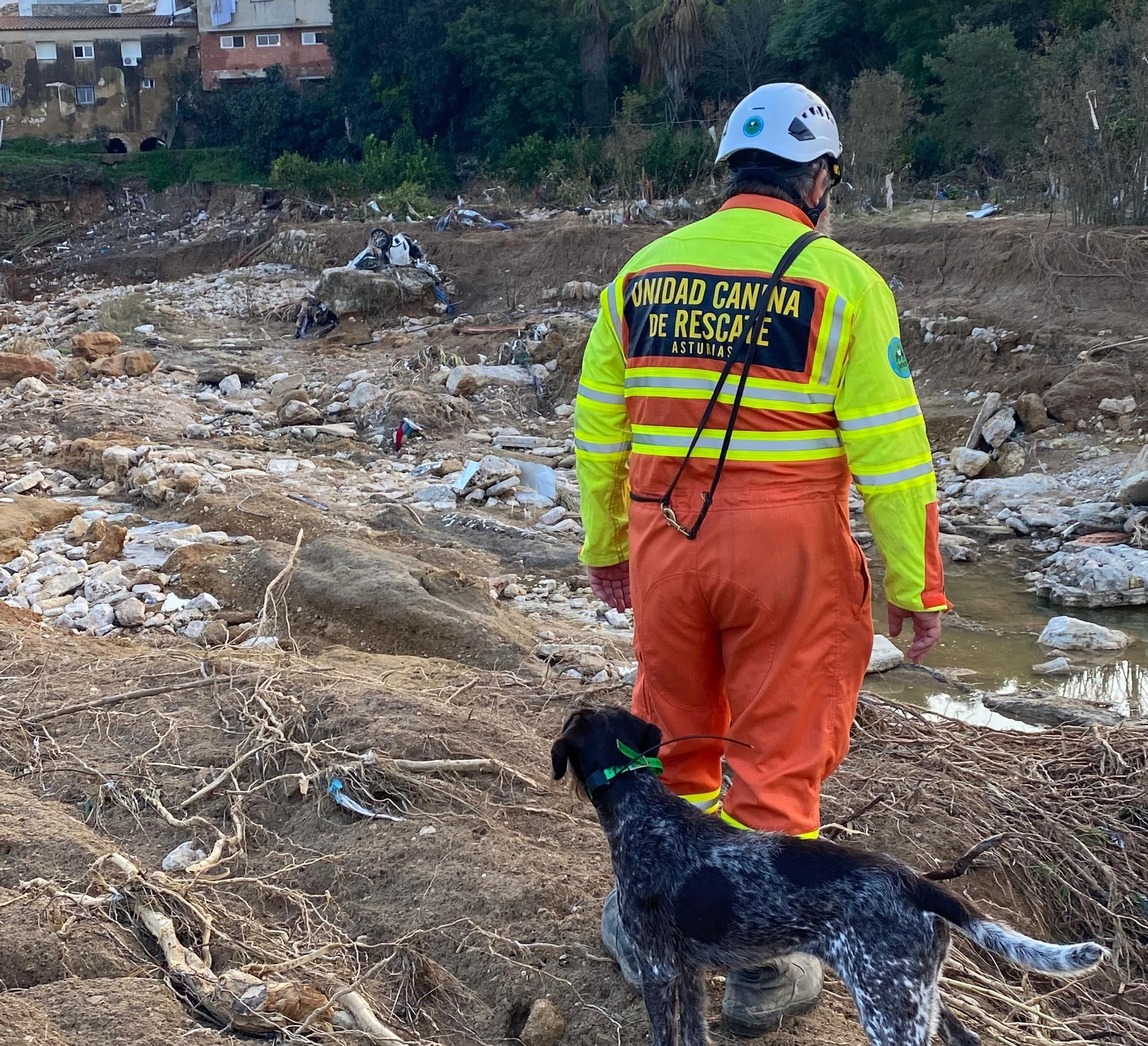 Así trabaja la Unidad Canina de Rescate del Principado de Asturias en Valencia