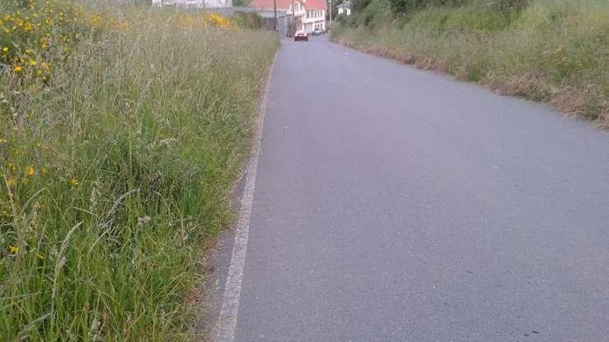 Carretera que el BNG pone de ejemplo de falta de limpieza.