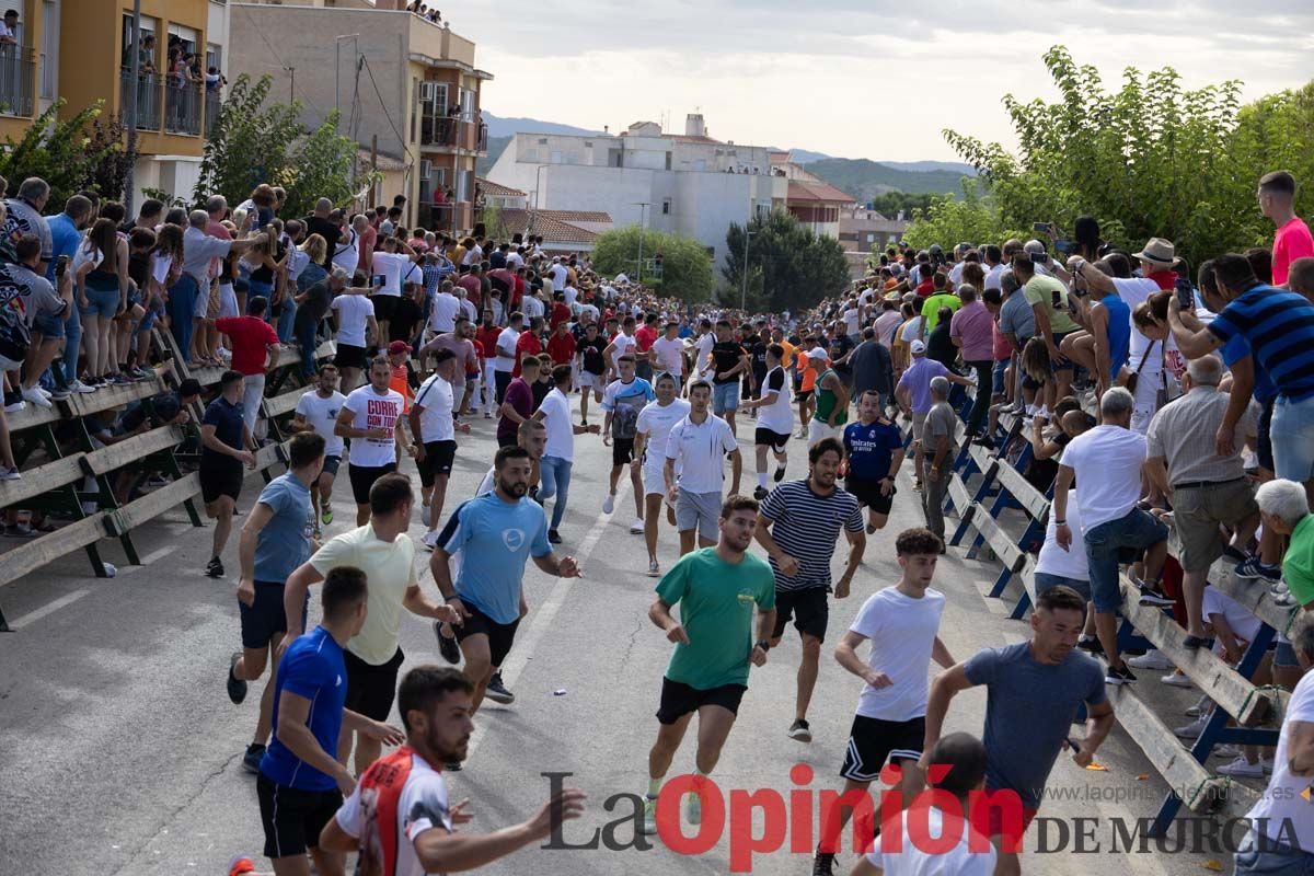 Primer encierro de la Feria del Arroz de Calasparra