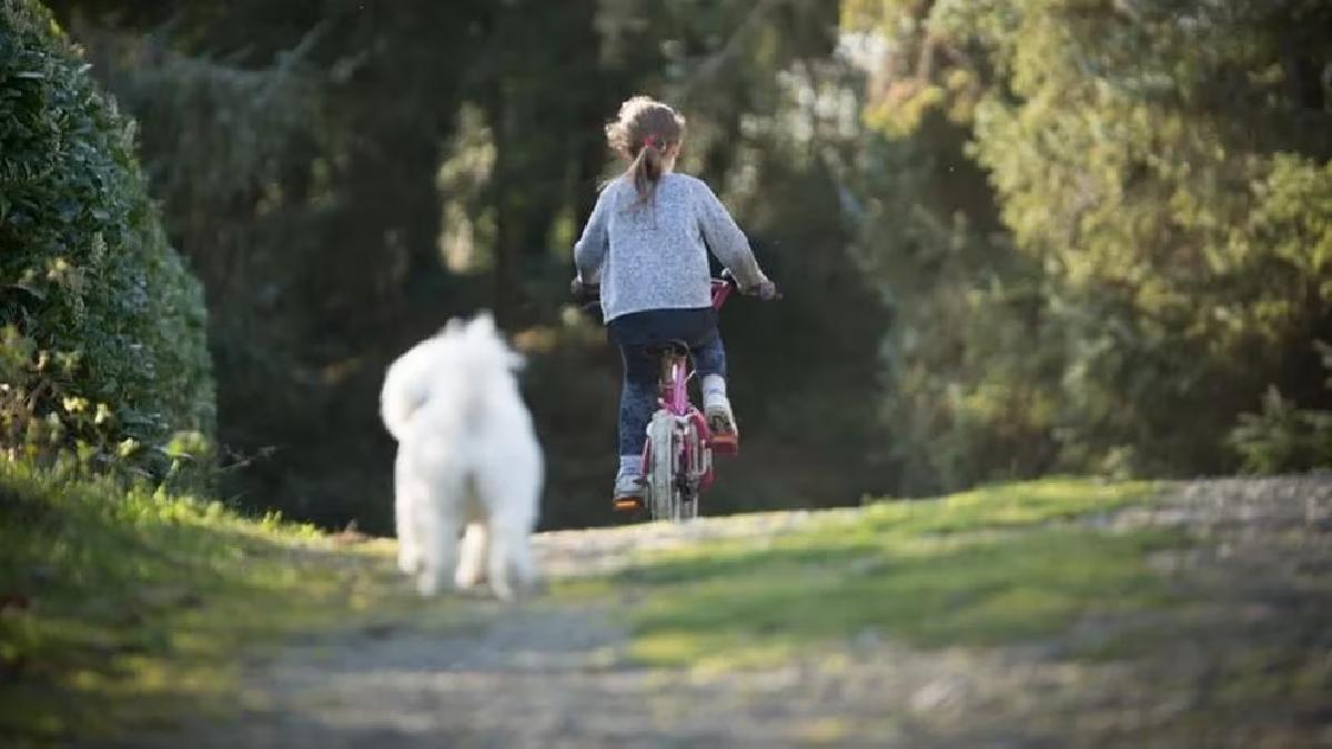 Málaga tiene triple de mascotas que de niños menores de diez años
