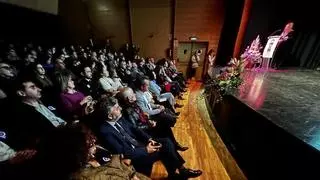 Mejor coordinación y más implicación de la sociedad: grito unánime institucional en Asturias contra la violencia machista