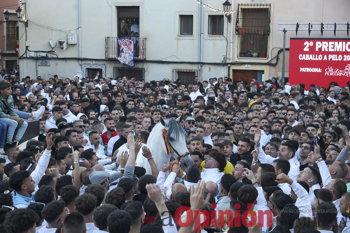 Entrega de premios del concurso de 'Caballo a pelo' en Caravaca