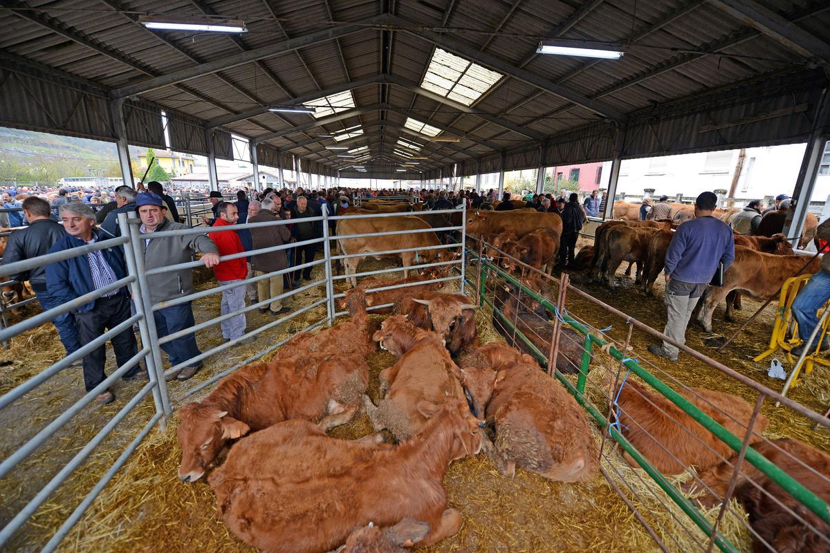 Aspecto del ferial de Cabañaquinta, durante una edición del "Mercaón".
