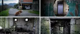 Ourense se vacía a un ritmo de 180 habitantes menos al mes