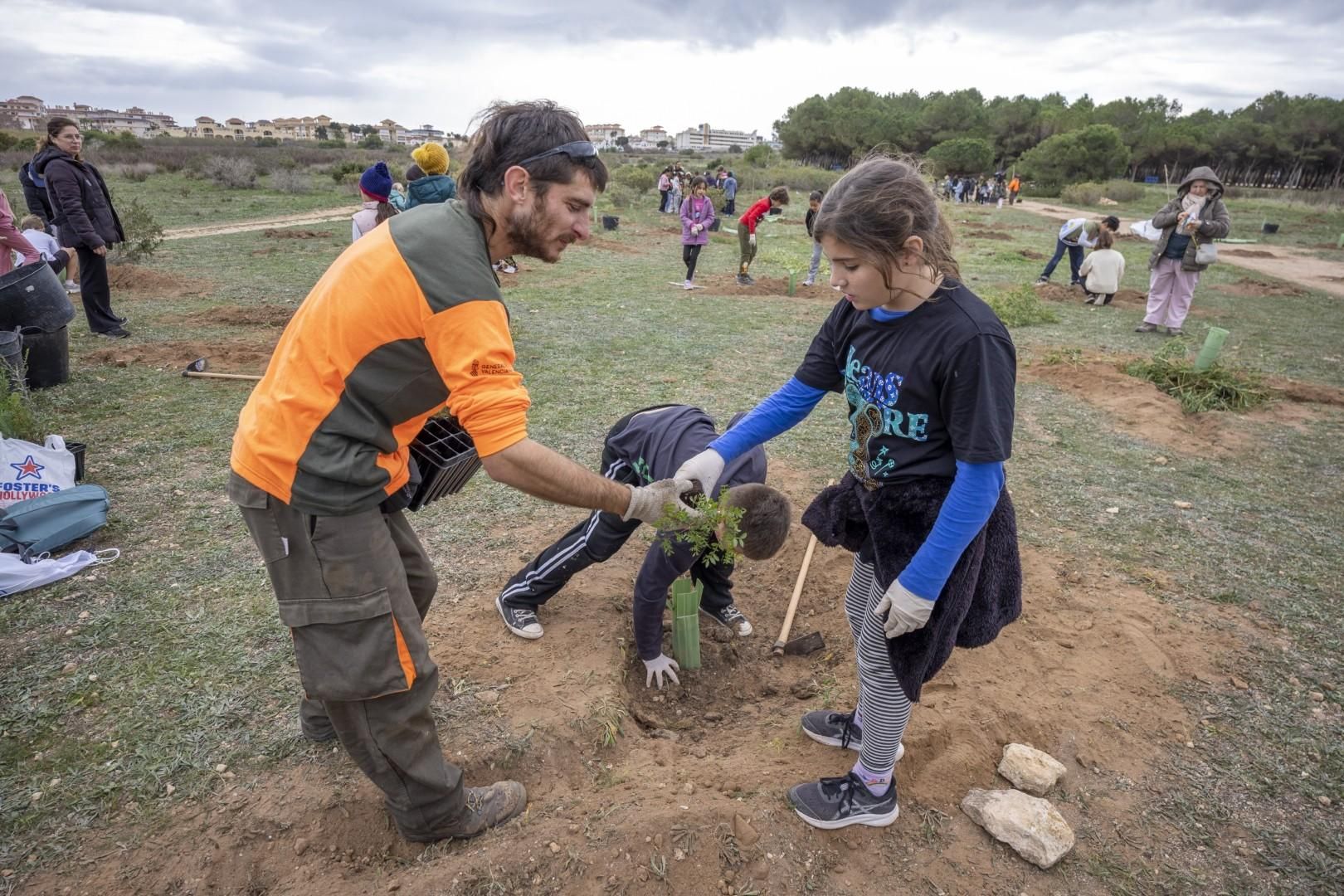 Jornada escolar plantación de especies autóctonas junto al parque natural de las lagunas de Torrevieja y La Mata