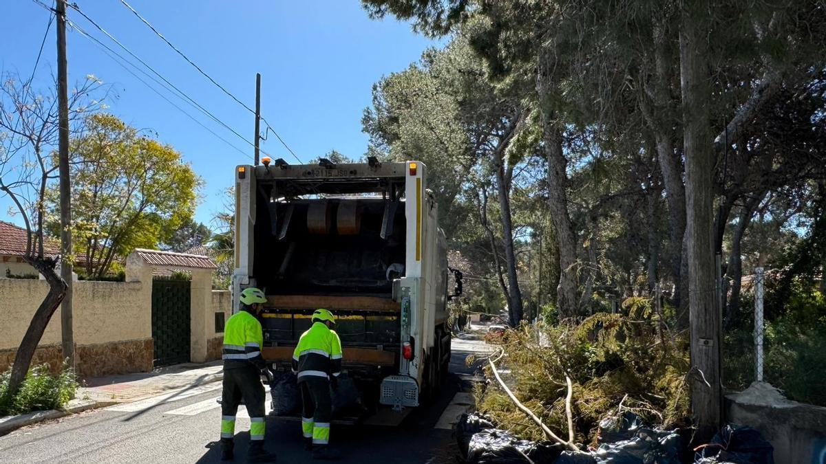 El servicio de recogida de poda en La Canyada en Paterna.