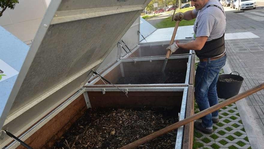 Maestro compostero trabaja en el campus de Pontevedra, que recicla a diario 120 kilos de residuos. // G.S