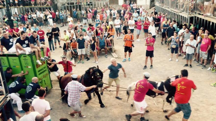 Toros en  Albalat