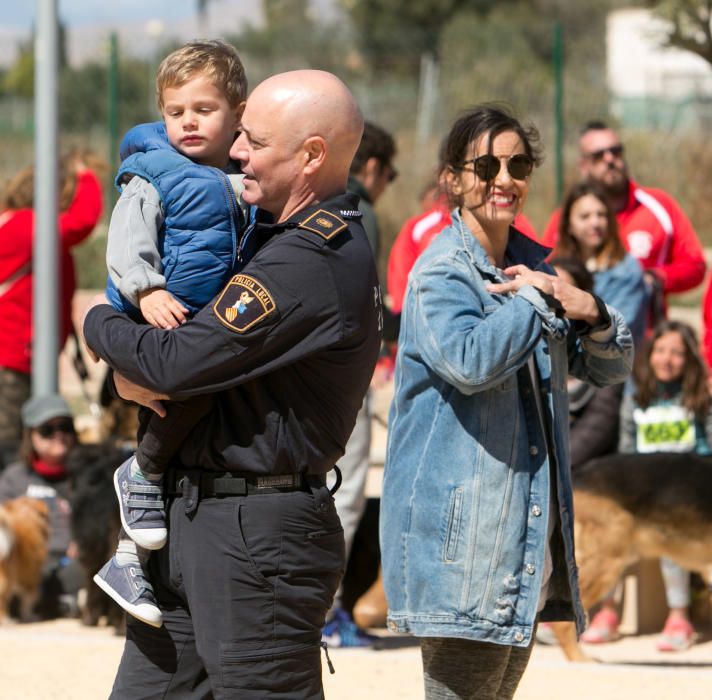 Can We Run: Gran carrera de perros para la concienciación animal