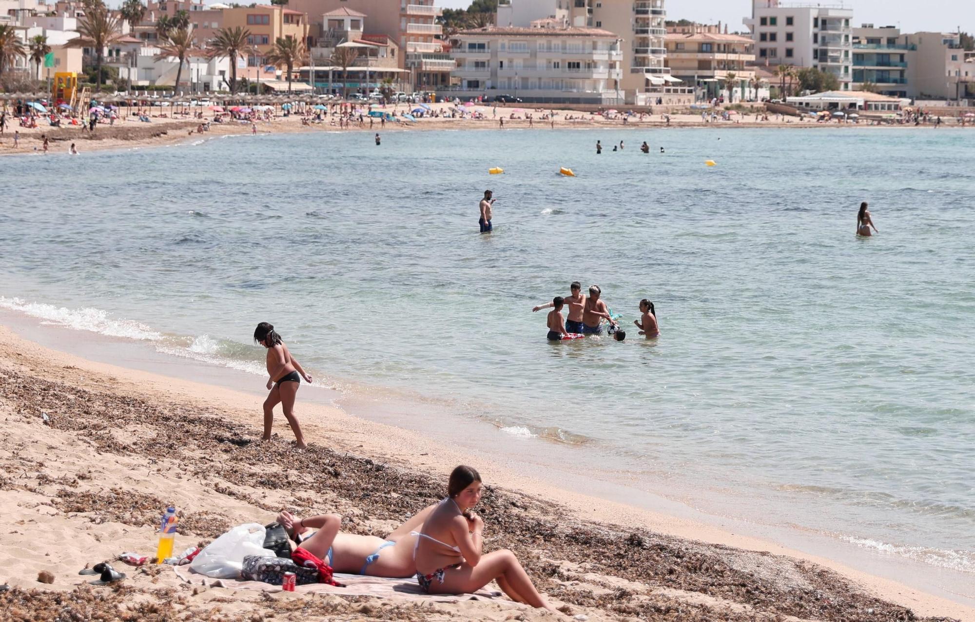 Fiebre playera en Mallorca: Matraen a muchos bañistas a las costasáximas de 30 grados