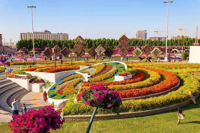 Miracle Garden, Dubai