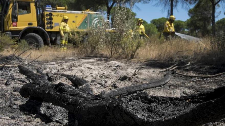 El incendio de Moguer ha afectado a 8.486 hectáreas de matorral y arbolado