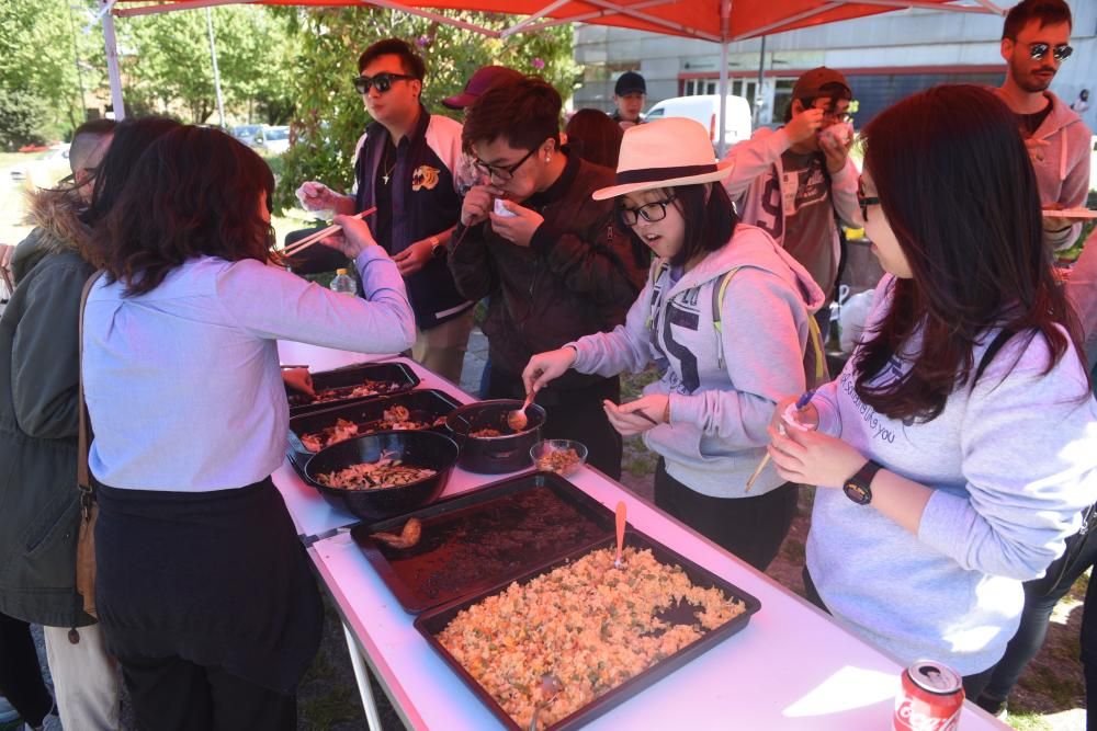 Cómo cocinar con energía solar.