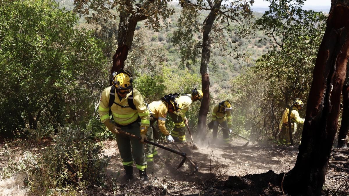 Bomberos del Infoca trabajan en una zona rural.