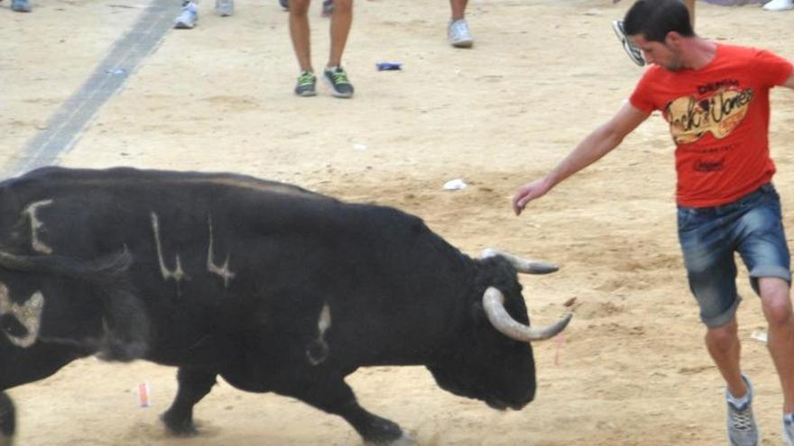 Toros en Museros