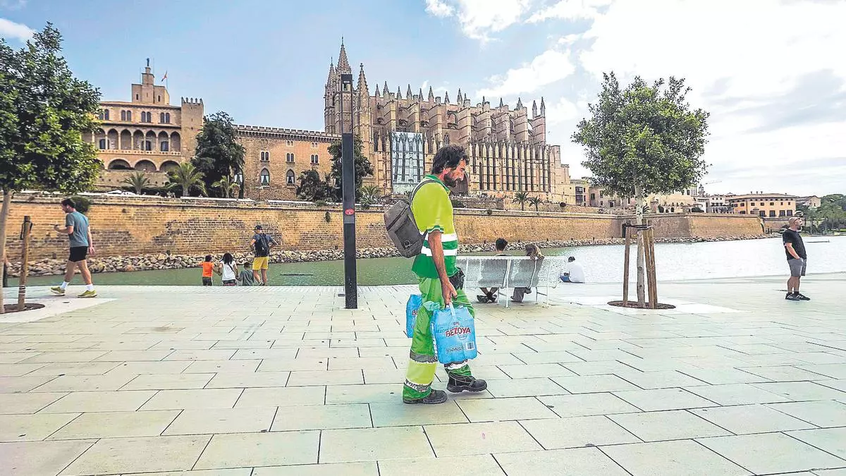 Palma se abrasa por falta de sombras