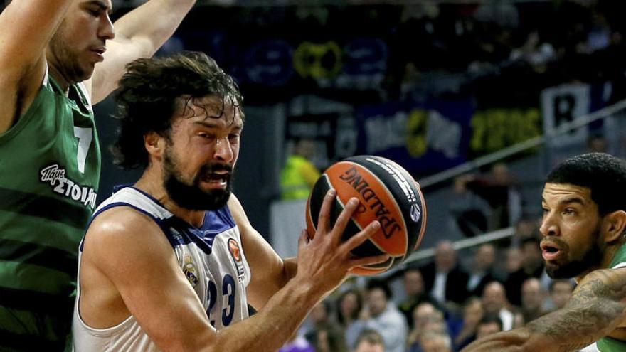 Llull pone 30 puntos en la victoria del Madrid sobre el Panathinaikos