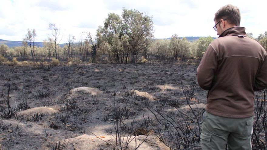 Un voluntario de Villanueva de Valrojo alimenta a la fauna.