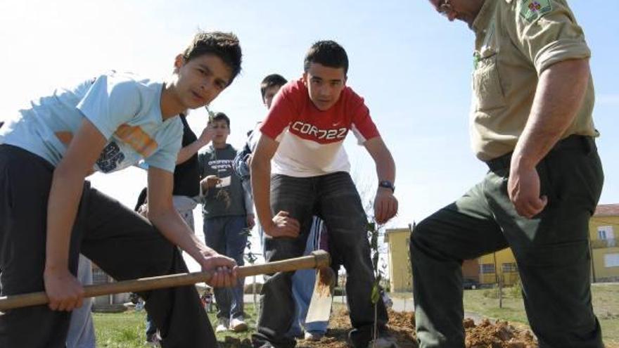 Un técnico de Medio Ambiente enseña a los escolares del colegio «Sansueña» a plantar un árbol.