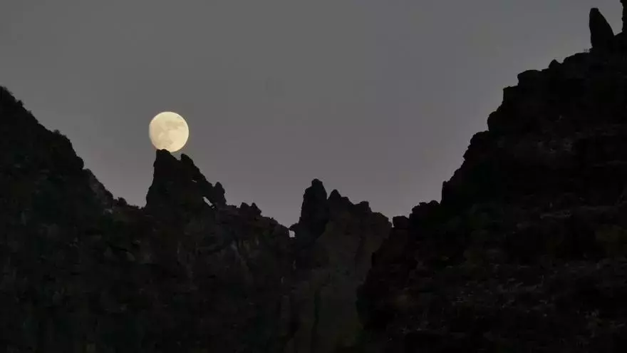 El &quot;lobo&quot; aullando a la luna en Gran Canaria del que todo el mundo habla