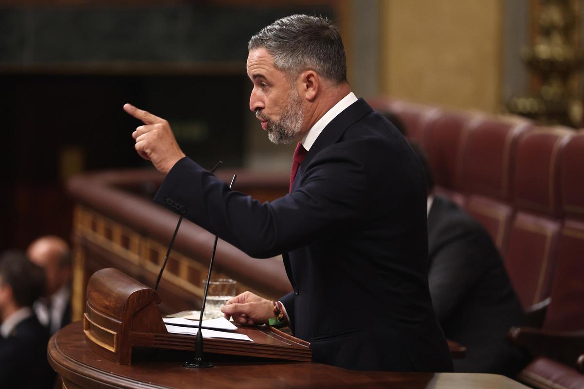 El presidente de Vox, Santiago Abascal, interviene durante una sesión plenaria en el Congreso