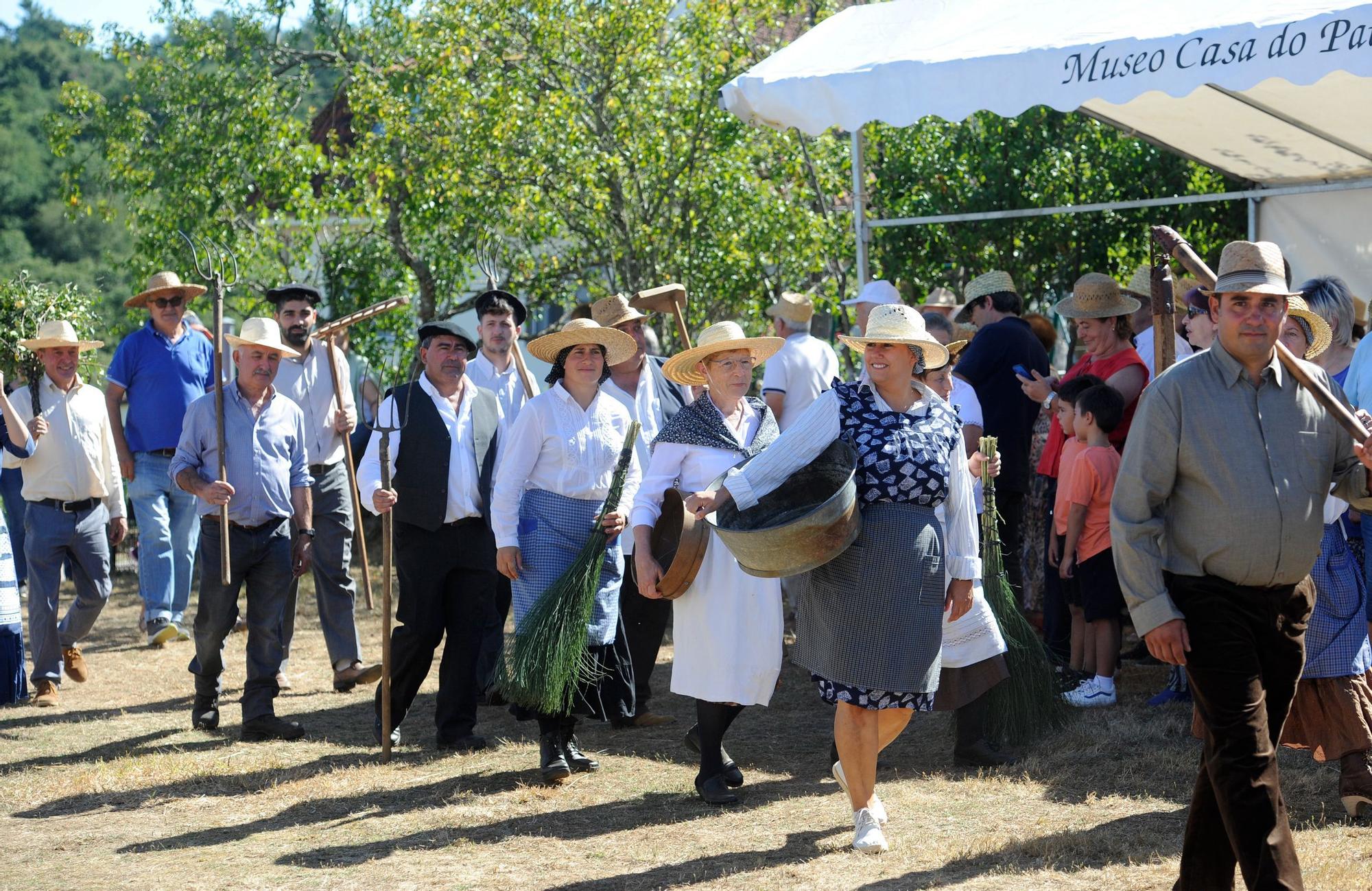 A Festa da Malla