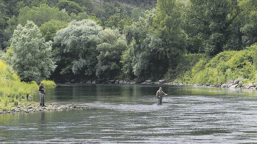 Dos aficionados, pescando en el coto sin muerte de La Figal, en el río Nalón.