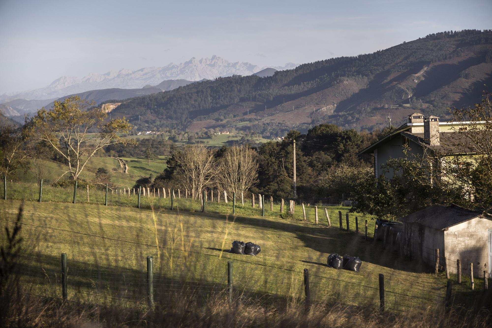 Asturianos en Nava