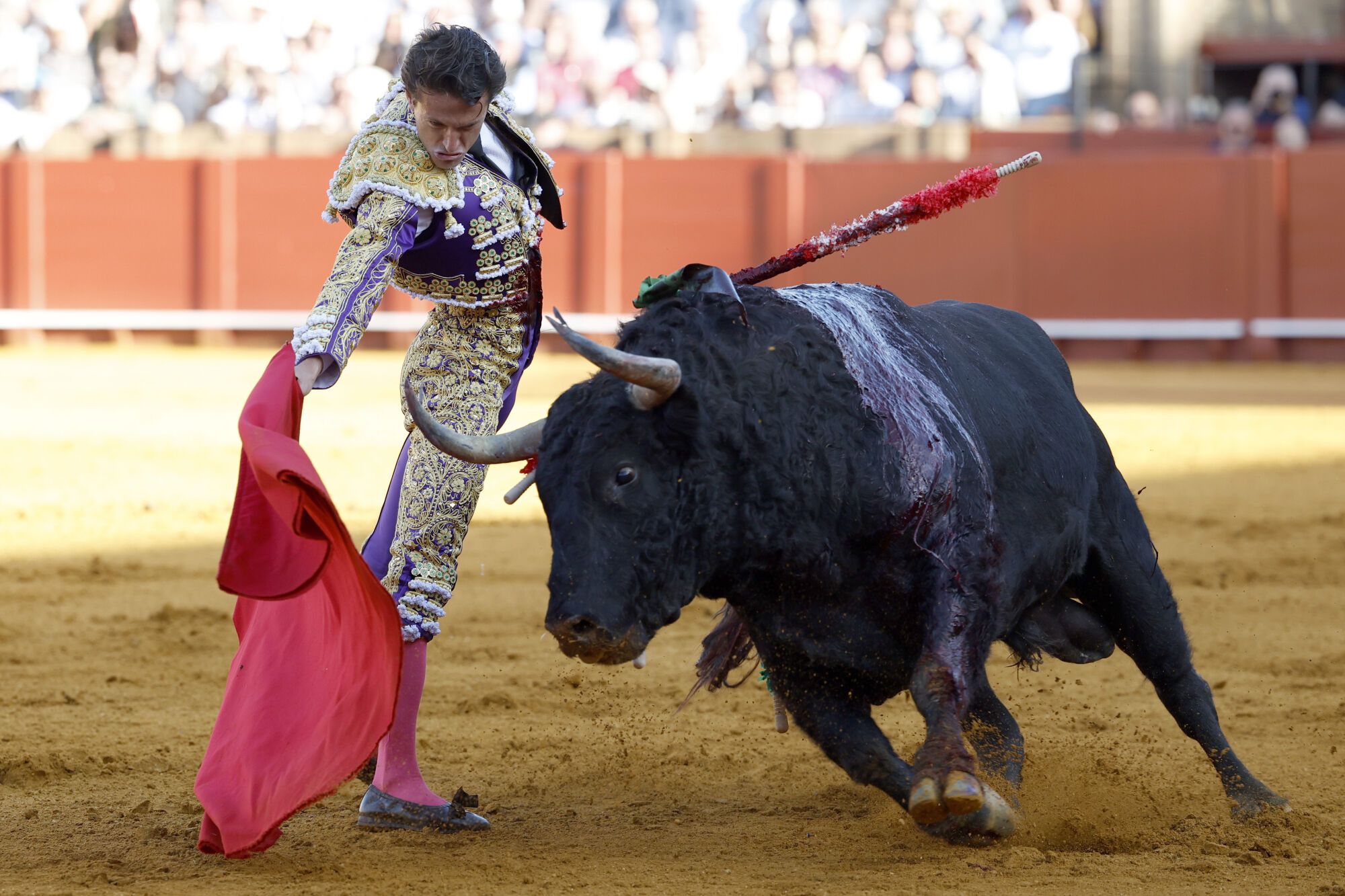SEVILLA, 27/04/2025.- El diestro Lama de Góngora en su faena durante la corrida celebrada hoy domingo en la plaza de toros La Maestranza, en Sevilla. EFE / Julio Muñoz.