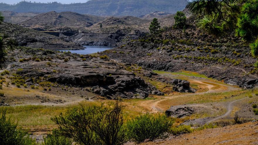 La sequía se adueña de las presas de Gran Canaria