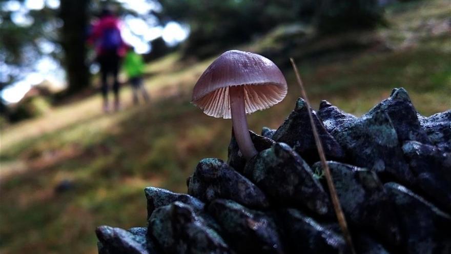 El otoño, que comenzará este lunes a las 9.50 horas, durará 89 días y 20 horas