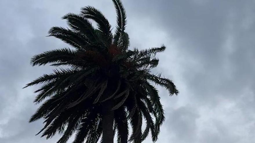Una ciclogénesis explosiva al oeste de Irlanda provocará fuerte viento y lluvias este martes en A Coruña: parques y jardines cerrados