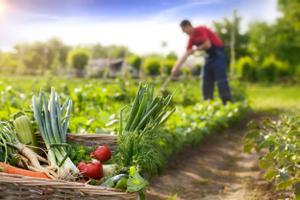 Un mejor tratamiento del suelo favorece a la agricultura ecológica