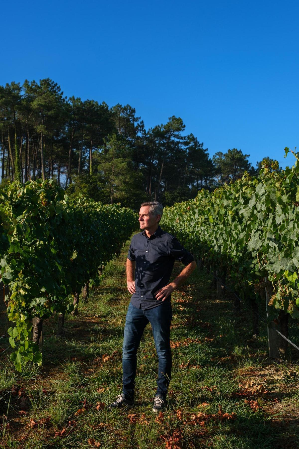 El enólogo de la bodega.