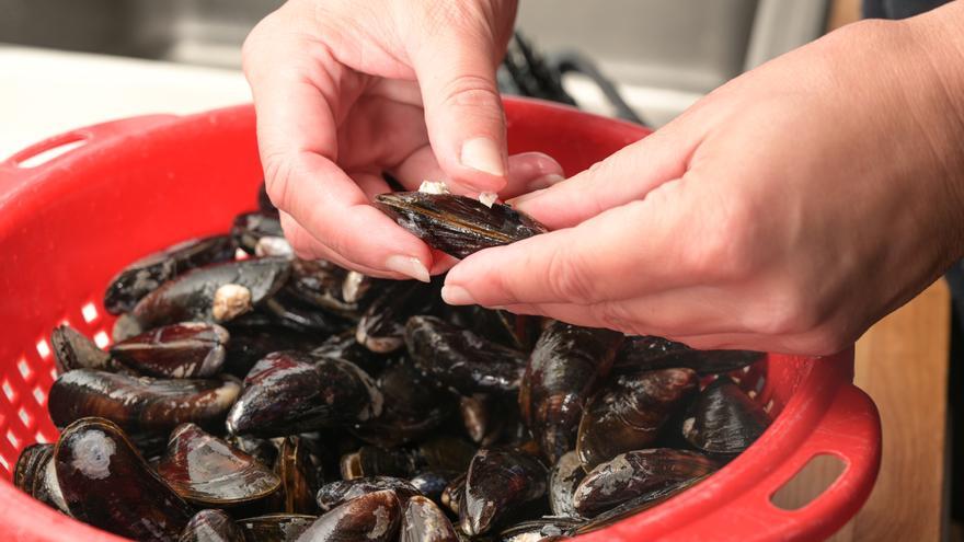 Cómo limpiar los mejillones: consejos antes y después de cocinarlos