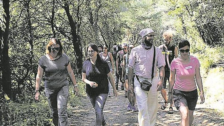 Investigan por qué es saludable ir de paseo por el bosque