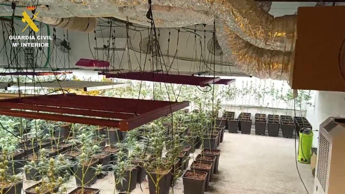 Plantación indoor de marihuana en Brenes (Sevilla)