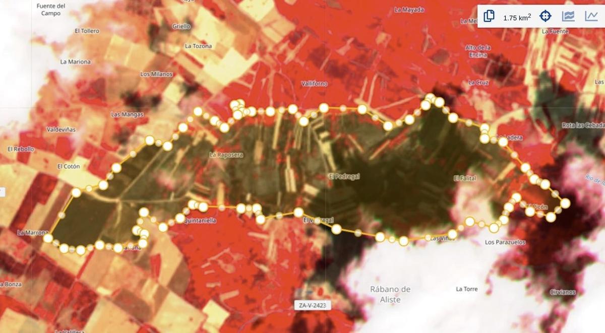 Imagen del Copernicus sobre el incendio de Rábano de Aliste