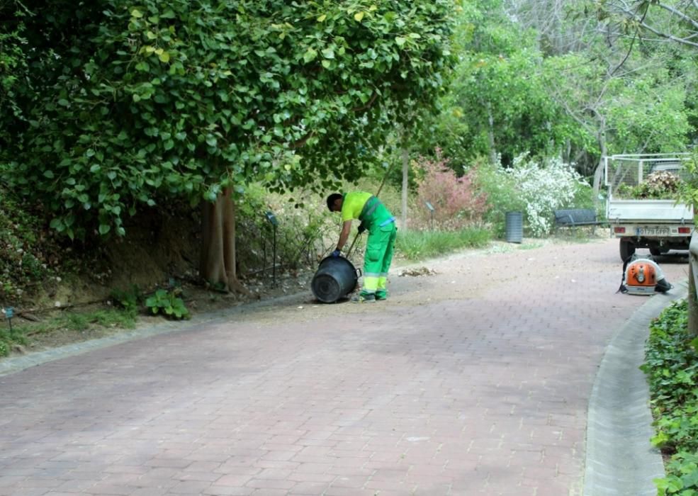 Floración en el Jardín de La Concepción.