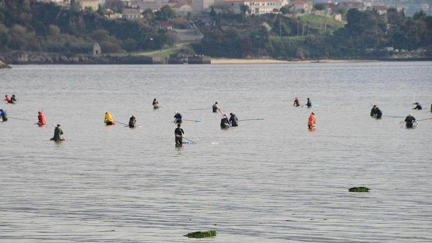 Mariscadoras trabajando en aguas de Meira, en Moaña. // Gonzalo Núñez