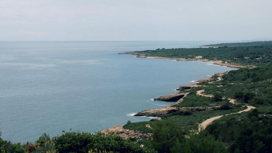 El parc natural de la Serra d’Irta compleix vint anys