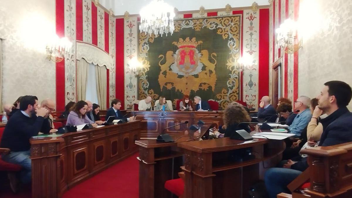 Sesión de la constitución del Consejo Municipal de Personas con Diversidad Funcional en el Ayuntamiento de Alicante.